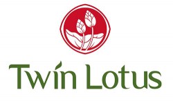 Twin-logo