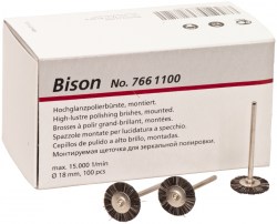 bison_766-1100