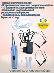 Endomotor_componovka_min
