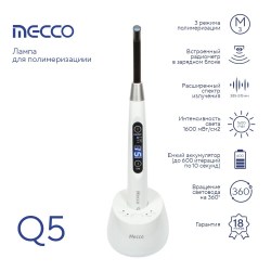 MeccoQ5_min