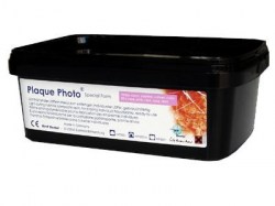 Plaque_Photo