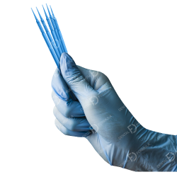 applic_dental_formula_golub_m